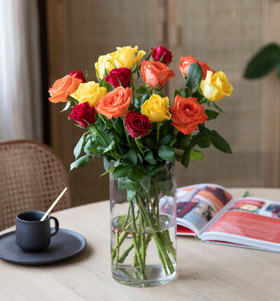 15 Fairtrade Rosa sløyfe roser varme farger